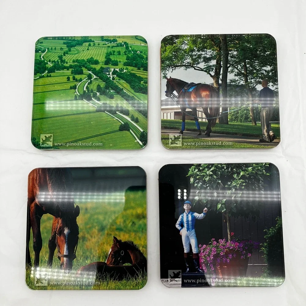 Pin Oak Stud Coaster Set of 4 Multicolor Horse Equestrian Photography Acrylic